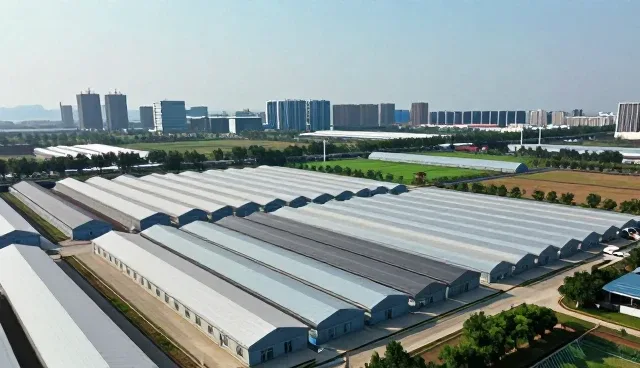 产品设计中的选型关注点:如何提升用户体验与市场适应性